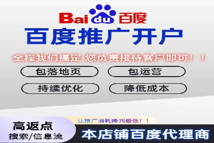 搜索引擎推广的佼佼者——百度搜索推广案例